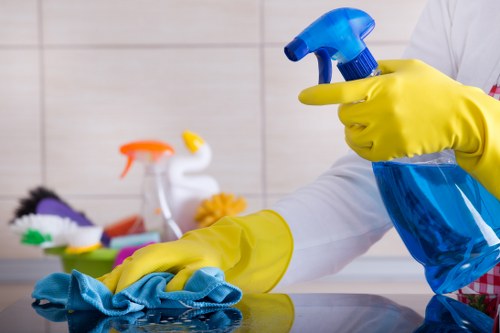 Domestic cleaner working in a Fulham SW6 flat