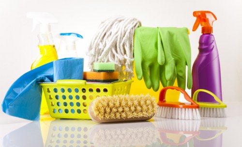 Deep cleaning of carpets in a Fulham flat