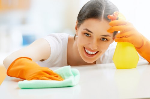Oven cleaning for busy homes and commercial kitchens in SW6