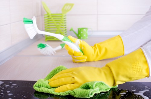 Deep cleaning of dining chairs and soft furnishings in SW6