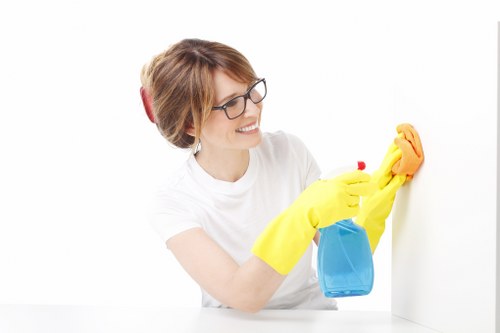 Professional carpet cleaning process in a SW6 property